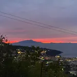 Olive - Cottage Moderno Tra Gli Ulivi Di Sorrento