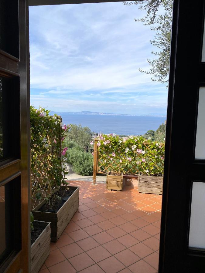 Olive - Moderno Tra Gli Ulivi Di Holiday home *