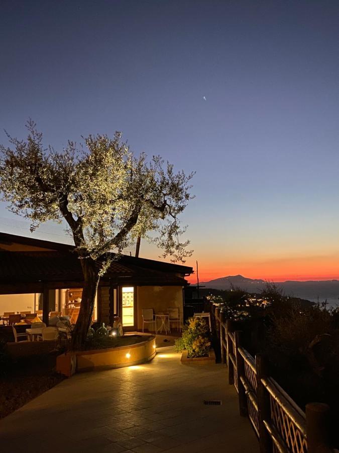Olive - Moderno Tra Gli Ulivi Di Holiday home Sorrento