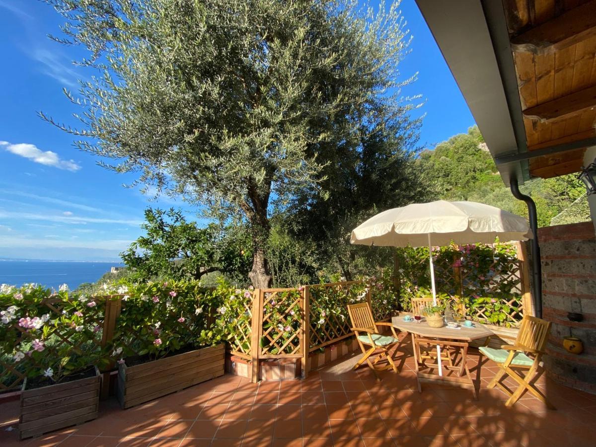 Holiday home Olive - Moderno Tra Gli Ulivi Di