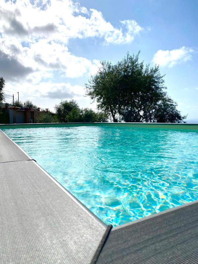 Holiday home Olive - Moderno Tra Gli Ulivi Di Sorrento