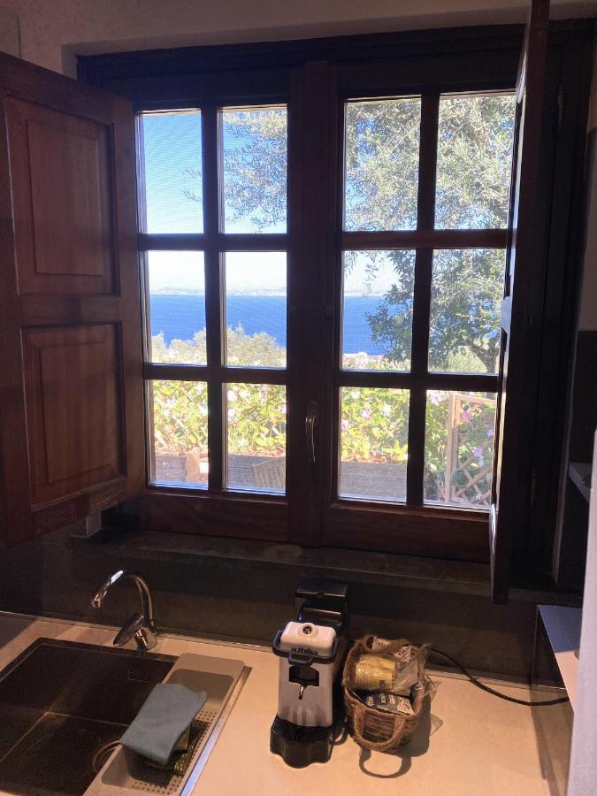Olive - Moderno Tra Gli Ulivi Di Casa vacanze